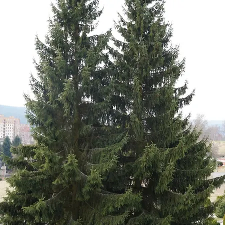 Affittacamere Bobovka *